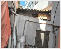  2025Ÿ��2444  �ٸ��ü����