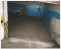  2025Ÿ��2444  �ٸ��ü����