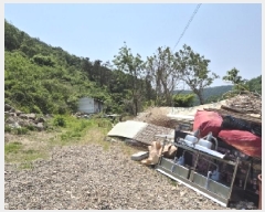  2025Ÿ��2659  �����