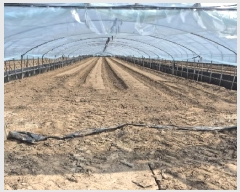  2025Ÿ��3546 ���� ���ֽ� ������ ���ʸ� 418-2      ����(��1)���