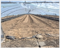  2025Ÿ��3546 ���� ���ֽ� ������ ���ʸ� 418-2      ����(��1)���