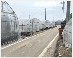  2025Ÿ��3546 ���� ���ֽ� ������ ���ʸ� 418-2      ����(��1)���