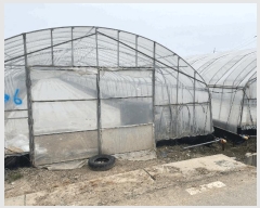  2025Ÿ��3546 ���� ���ֽ� ������ ���ʸ� 418-2      ����(��1)���