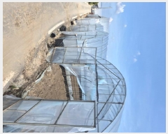  2025Ÿ��3546 ���� ���ֽ� ������ ���ʸ� 418-2      ����(��1)���