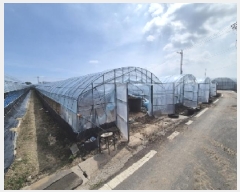  2025Ÿ��3546 ���� ���ֽ� ������ ���ʸ� 418-2      ����(��1)���