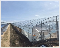  2025Ÿ��3546 ���� ���ֽ� ������ ���ʸ� 418-2      ����(��1)���