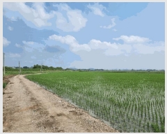  2025Ÿ3829  ֽ  嵿 1349-2      ()