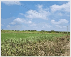  2025Ÿ3829  ֽ  嵿 1349-2      ()