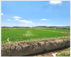  2025Ÿ3829  ֽ  嵿 1349-2      ()