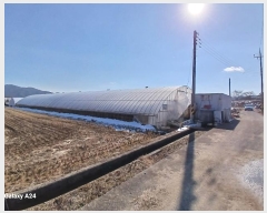  2025Ÿ��30272  ����