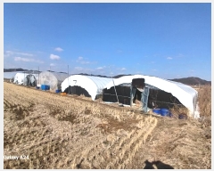  2025Ÿ��30272  ����