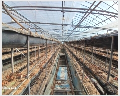  2025Ÿ��30272  ����