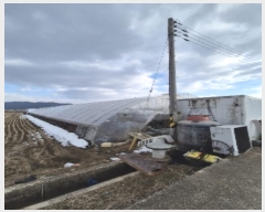  2025Ÿ��30272  ����