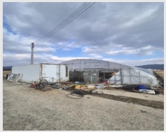  2025Ÿ��30272  ����