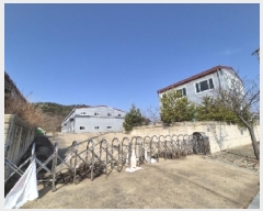  2025Ÿ��32122 ���� ������ �븶�� ���׸� 1029-10      ������