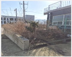  2025Ÿ��32122 ���� ������ �븶�� ���׸� 1029-10      ������