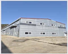  2025Ÿ��32122 ���� ������ �븶�� ���׸� 1029-10      ������