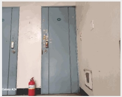  2025Ÿ32211  ϱ  17-2 3 1107ȣ     Ʈ