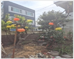  2025Ÿ32344   굿 911-24       ð