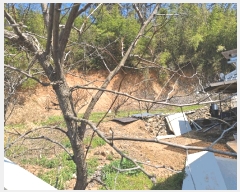  2025Ÿ��32382 ���� ���걸 ��ȣ�� 612       ���ð��