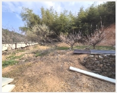  2025Ÿ��32382 ���� ���걸 ��ȣ�� 612       ���ð��