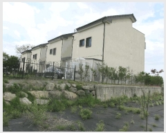  2025Ÿ32507  籺 ϸ ︮ 241-10 1104ȣ     ټ,