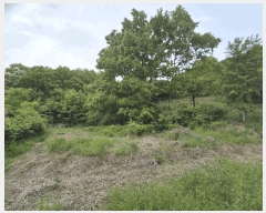  2025Ÿ32659    220       (1)