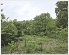  2025Ÿ32659    220       (1)