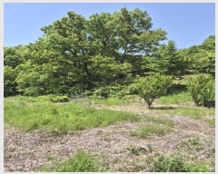  2025Ÿ32659    220       (1)