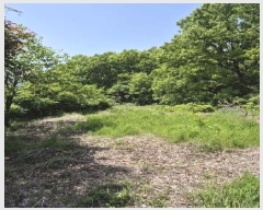  2025Ÿ32659    220       (1)