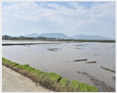  2025Ÿ��32710  ����