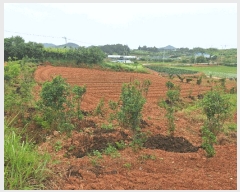  2025Ÿ��32939 ���� ���ֽ� ��Ȳ�� ������ 731-8      ����(��)���