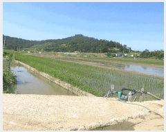  2025Ÿ��32949 ���� ������ ����� �ο츮 1053-2      ����(��)���