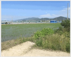  2025Ÿ��32949 ���� ������ ����� �ο츮 1053-2      ����(��)���