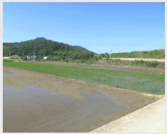  2025Ÿ��32949 ���� ������ ����� �ο츮 1053-2      ����(��)���