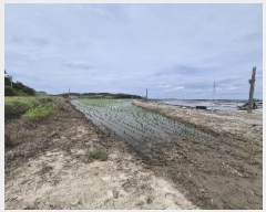  2025Ÿ��32949 ���� ������ ����� �ο츮 1053-2      ����(��)���