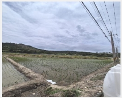  2025Ÿ��32949 ���� ������ ����� �ο츮 1053-2      ����(��)���