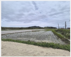  2025Ÿ��32949 ���� ������ ����� �ο츮 1053-2      ����(��)���