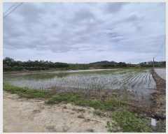  2025Ÿ��32949 ���� ������ ����� �ο츮 1053-2      ����(��)���