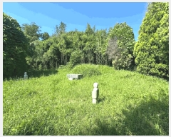  2025Ÿ32998    긮 33-2      (Ӿ)