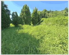  2025Ÿ32998    긮 33-2      (Ӿ)