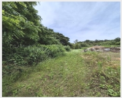  2025Ÿ32998    긮 33-2      (Ӿ)