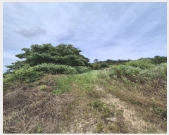  2025Ÿ32998    긮 33-2      (Ӿ)