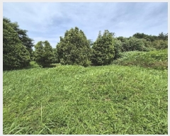  2025Ÿ32998    긮 33-2      (Ӿ)