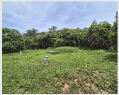  2025Ÿ32998    긮 33-2      (Ӿ)