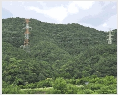  2025Ÿ��33033  �Ӿ߰��