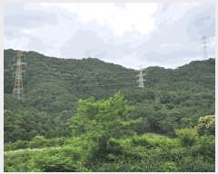  2025Ÿ��33033  �Ӿ߰��