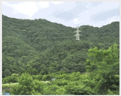  2025Ÿ��33033  �Ӿ߰��