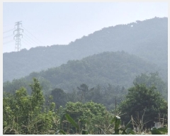  2025Ÿ��33033  �Ӿ߰��