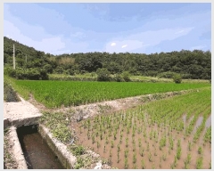  2025Ÿ��33050  ����